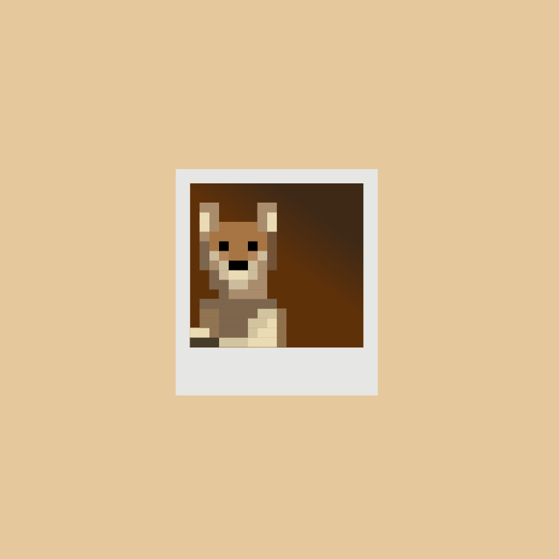 Pixel window dog